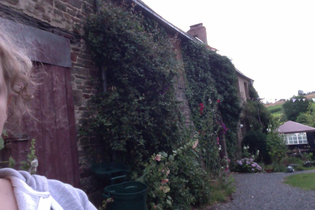A little wander outside